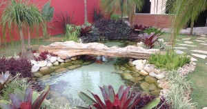 Natureza, harmonia, paz!